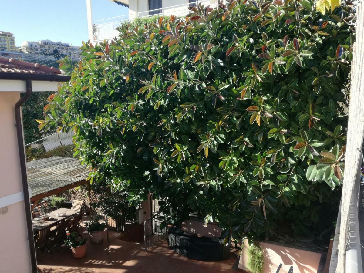 Villa Bruna B&B Sanremo Exterior photo